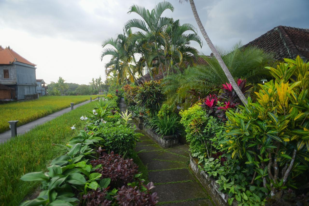 Ina Inn Ubud Zewnętrze zdjęcie
